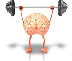 Schillinger Chiropractic - San Rafael California