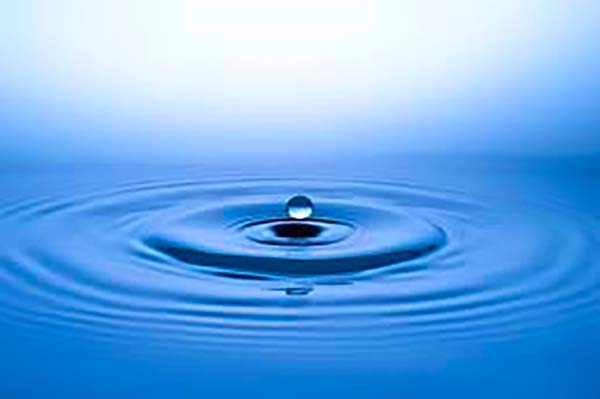 Schillinger Chiropractic - San Rafael California