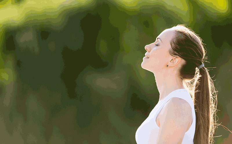 Schillinger Chiropractic - San Rafael California